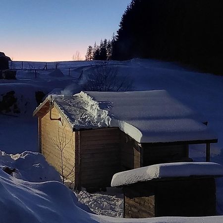 Petit Chalet Nature Les Rousses Zewnętrze zdjęcie